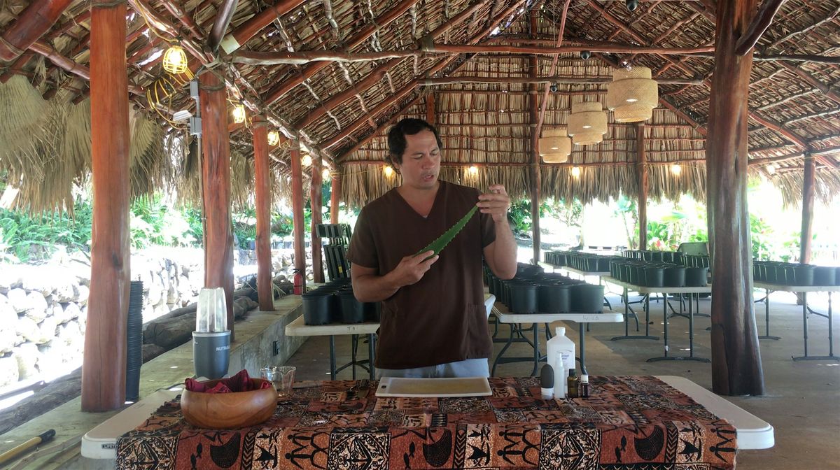 (In-Person only at KOKA Kalihi) Lāʻau Lapaʻau Workshop, 22 May | Event in Honolulu | AllEvents