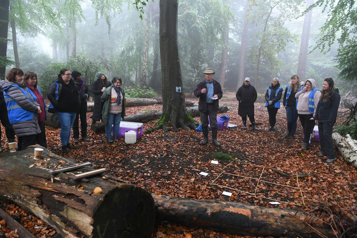 Muddy Maths Education Training Course: EYFS & KS1, 21 October | Event in Wetherby | AllEvents