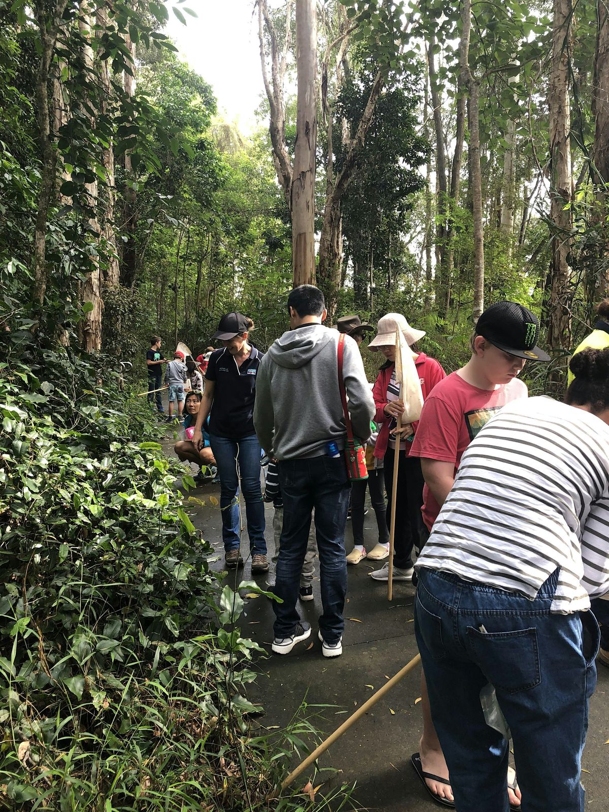 Minibeast Safari, 16 December | Event in Capalaba | AllEvents