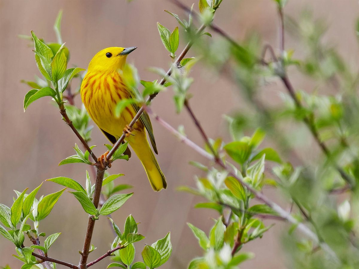 Lake Erie Metropark Field Trip, 20 September | Event in Brownstown Charter Twp | AllEvents