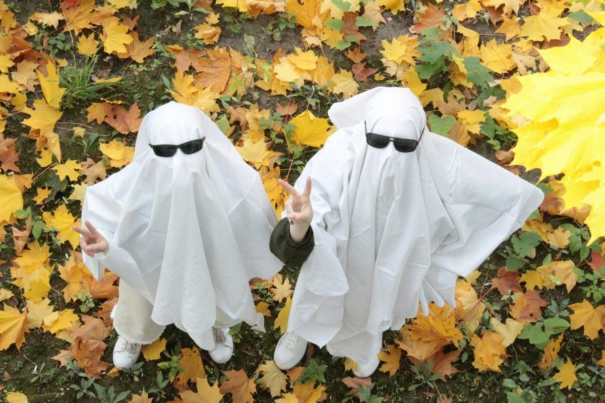 Get Ready for Halloween with Janet Nolan, 29 October | Event in Oak Park | AllEvents