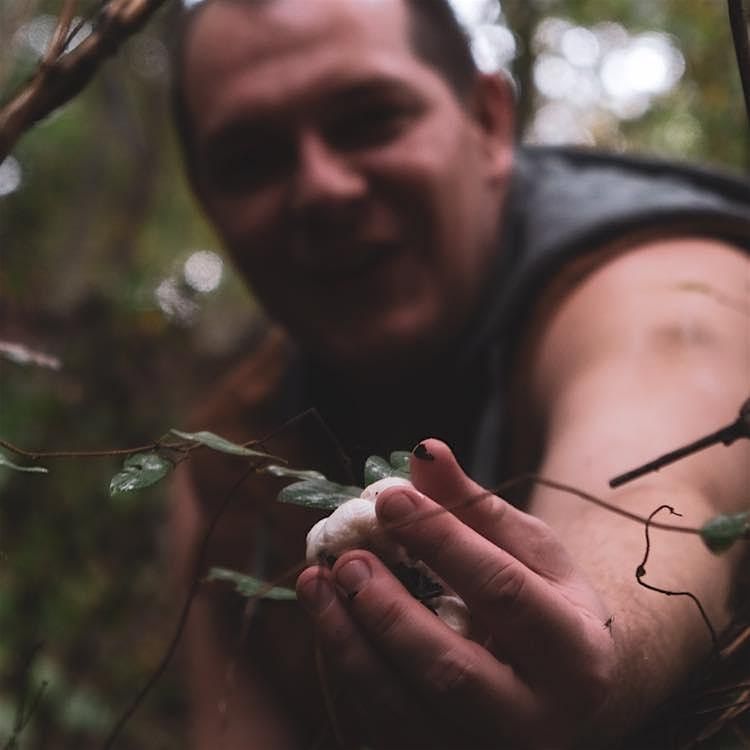 Fall Forest Treasures: Fungi & Nut Foraging Expedition, 1 November | Event in Raleigh | AllEvents