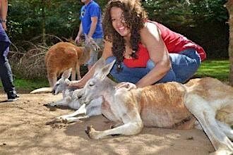 Visit the Outback Kangaroo Farm and Lunch | Event in Arlington | AllEvents