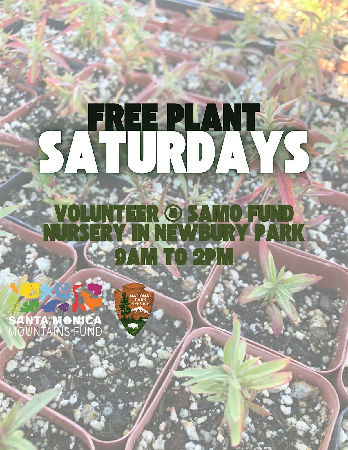 FREE PLANT SATURDAYS! - Native Plant Nursery Volunteering, 28 June | Event in Thousand Oaks | AllEvents