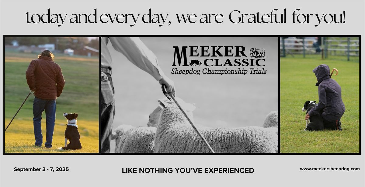 2025  Meeker Classic Sheepdog Championship Trials, 3 September | Event in Meeker | AllEvents