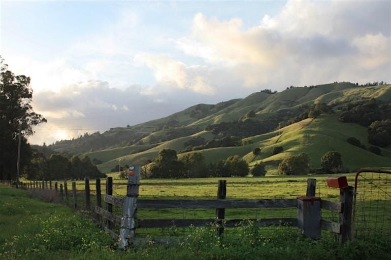 Protecting Your Home from Wildfire (What works…What doesn’t), 7 September | Event in San Geronimo | AllEvents