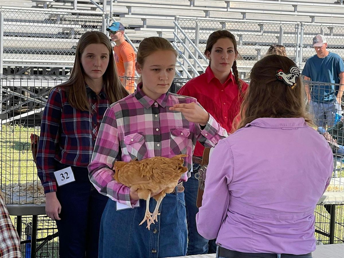 2025 SC State Fair 4-H Poultry Showmanship, 11 October | Event in Columbia | AllEvents