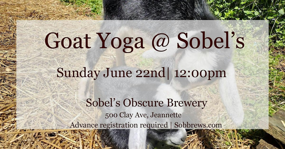 Goat Yoga at Sobel's Obscure Brewery | Event in Jeannette | AllEvents
