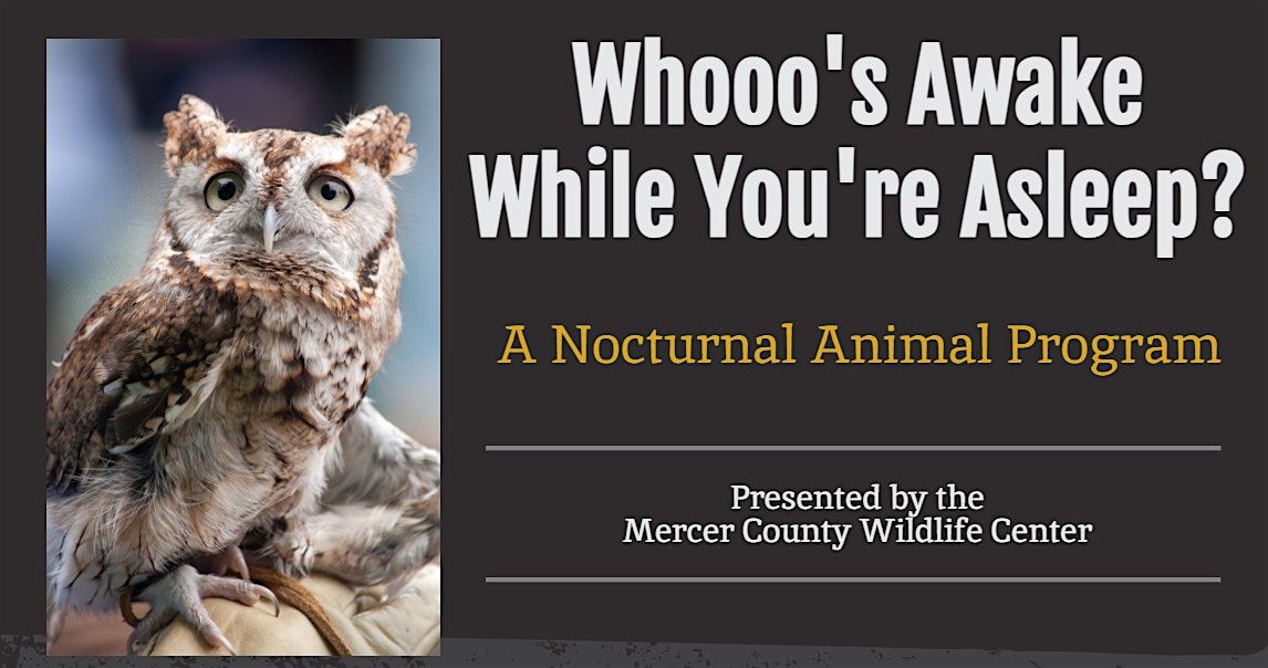 Whooo's Awake While You're Asleep?, 25 October | Event in Pennington | AllEvents