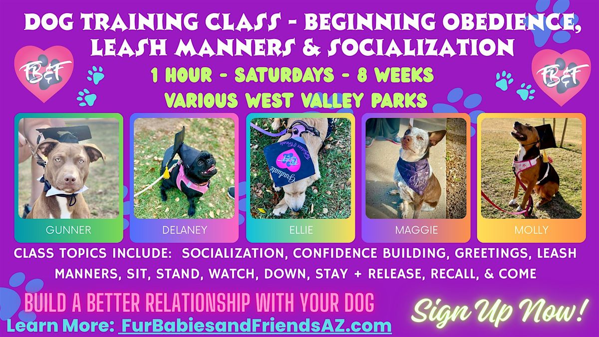 Level 1 - Dog Training Beginner Obedience & Leash Manners Group Class, 27 September | Event in Peoria
