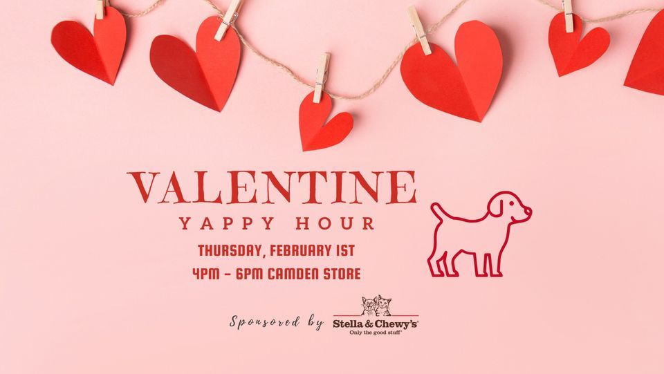 Valentine Yappy Hour , Yarn & Bone Pet Supply, Camden Wyoming, February