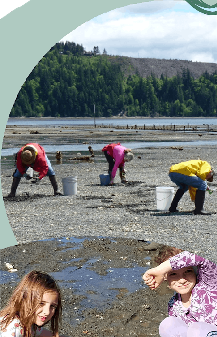 Digging for Dinner  - Updated date, 18 May | Event in Quilcene | AllEvents