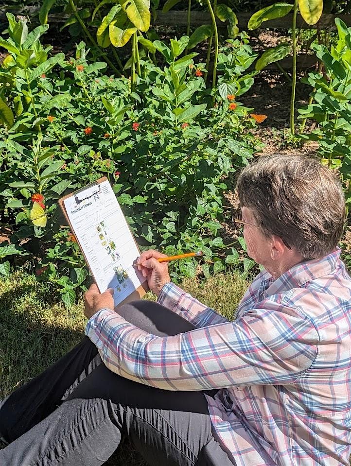 Great Southeastern Pollinator Census, 22 August | Event in Clemson | AllEvents