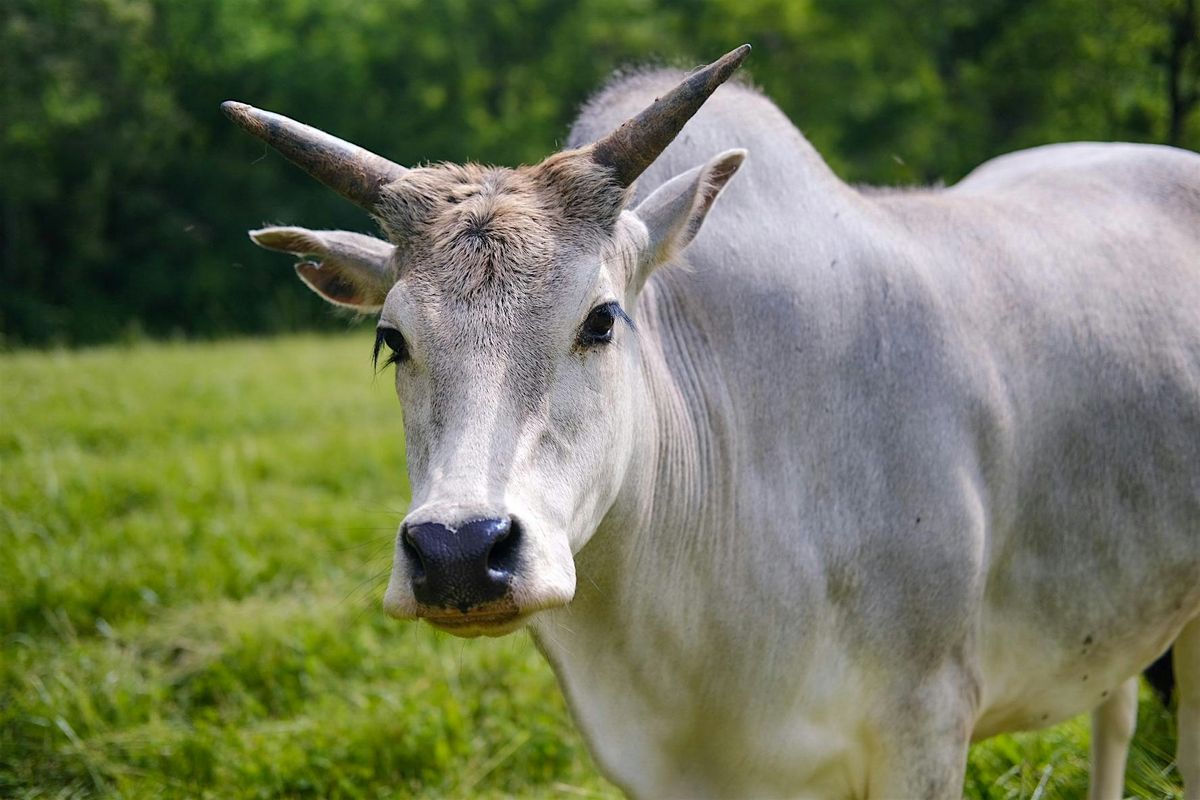 Farm Encounters Walk, 6 September | Event in Cincinnati | AllEvents
