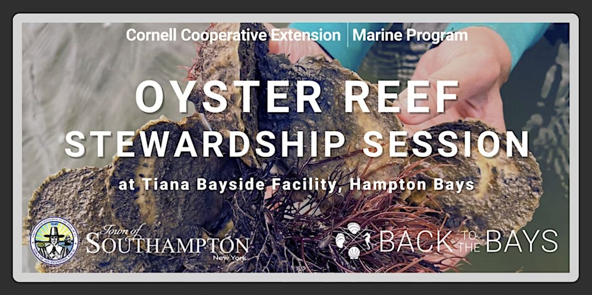 Stewardship Session: Oyster Reef Deployment at Tiana Bayside, 24 July | Event in Hampton Bays | AllEvents