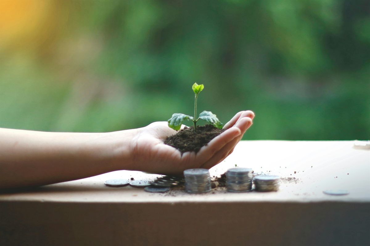 Market Update Q & A, 5 August | Event in Johnson City | AllEvents