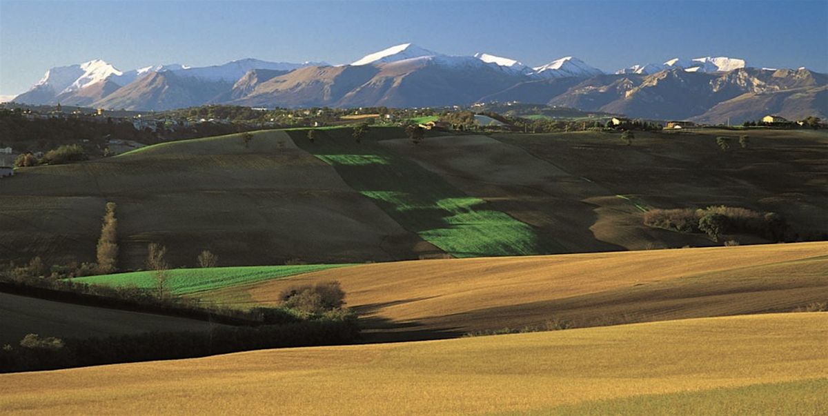 Art & Movement Retreat in Italy, 8 October | Event in Sant'Angelo in Pontano | AllEvents