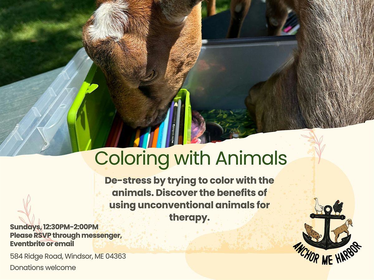 Coloring with Animals | Event in Windsor | AllEvents