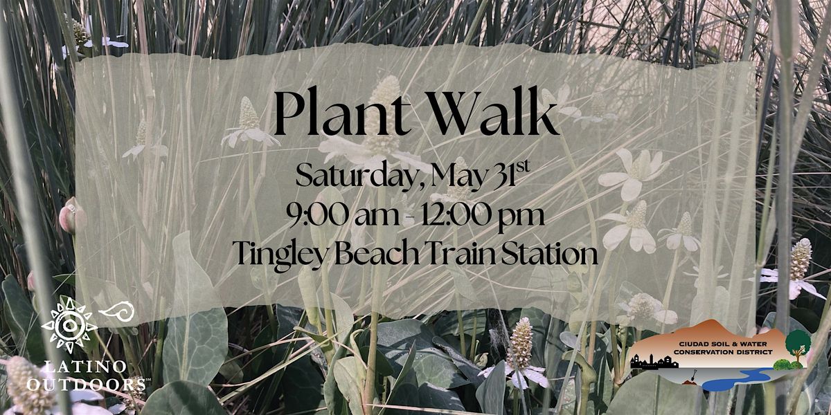LO NM | Bosque Plant Walk, 31 May | Event in Albuquerque | AllEvents