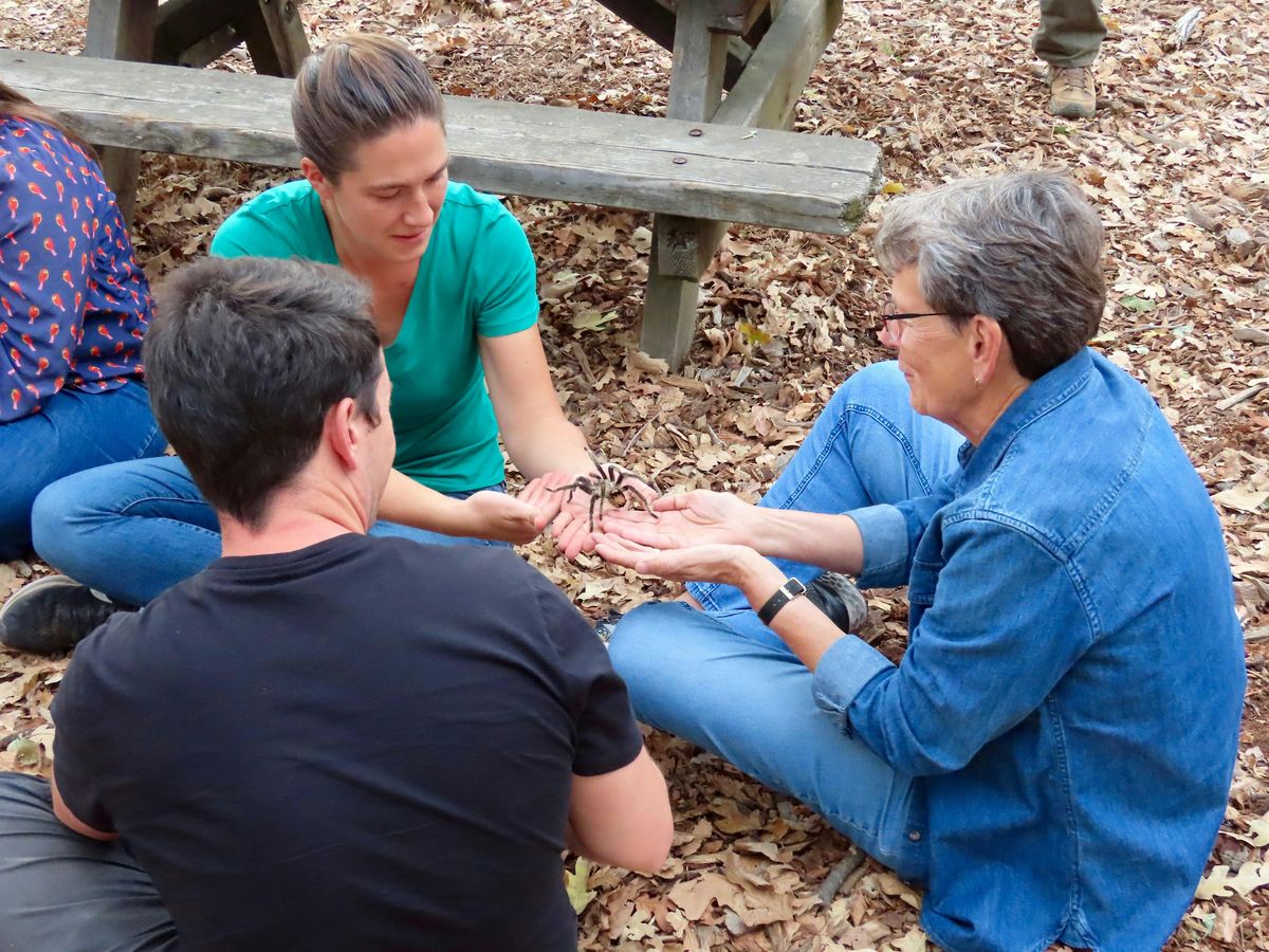Tarantula Trek for Adults, 19 September | Event in Clayton | AllEvents