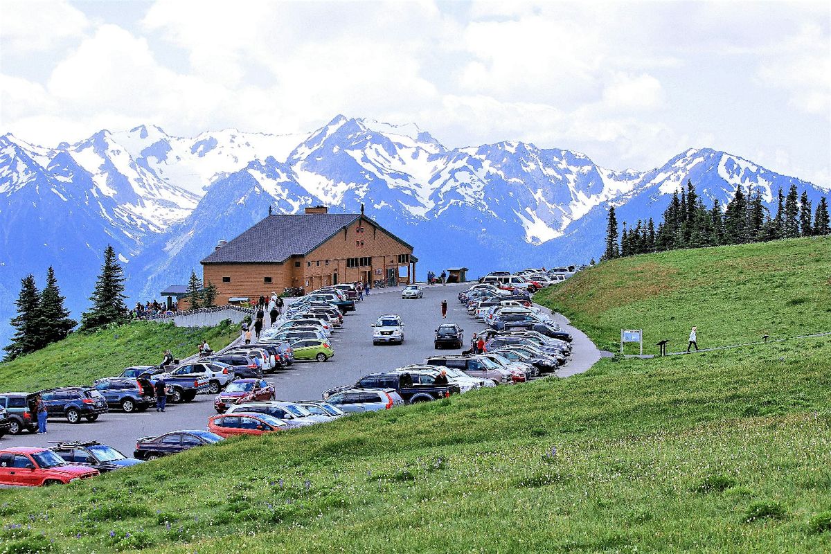Olympic National Park Tour: Self-Guided Audio Drive, 3002 Mt