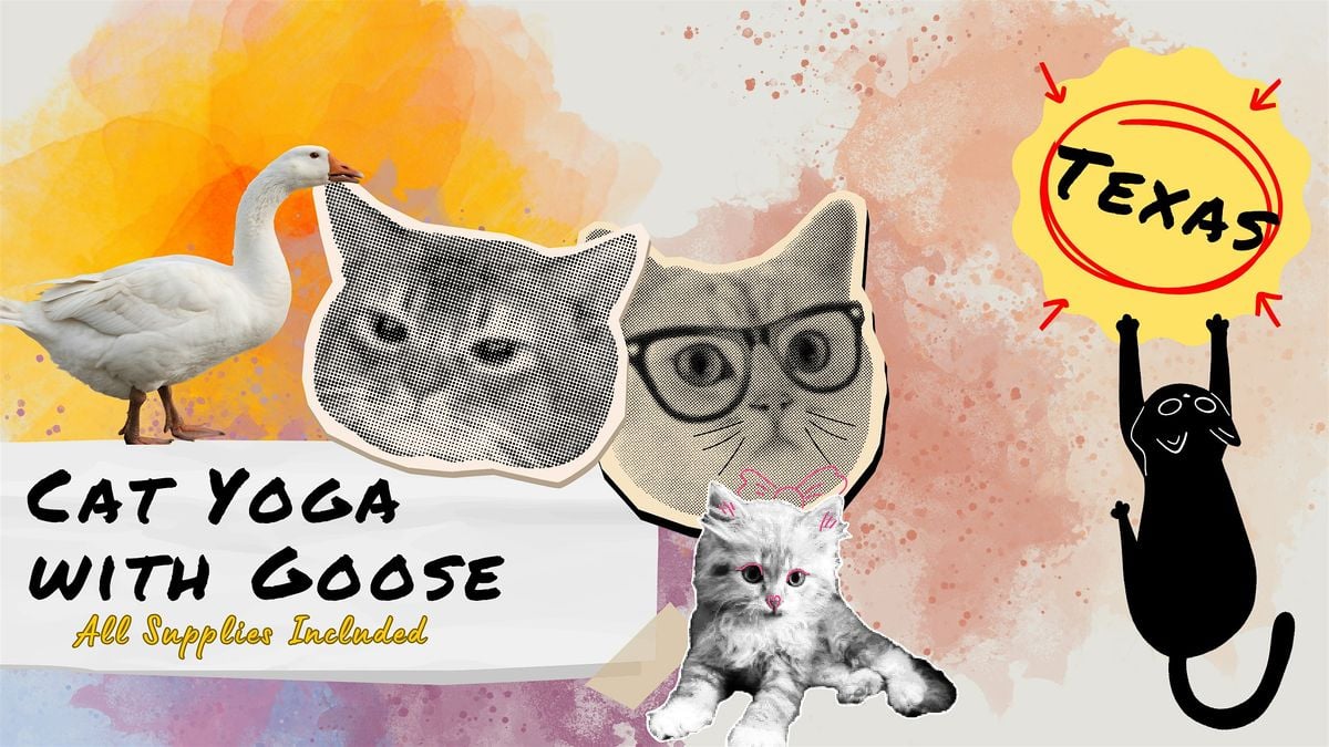 Cat Yoga with Goose **Texas**, 18 October | Event in Godley | AllEvents