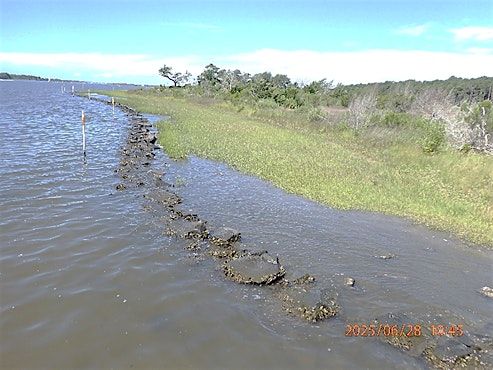 Living Shorelines Field Trip, 5 October | Event in Wilmington | AllEvents