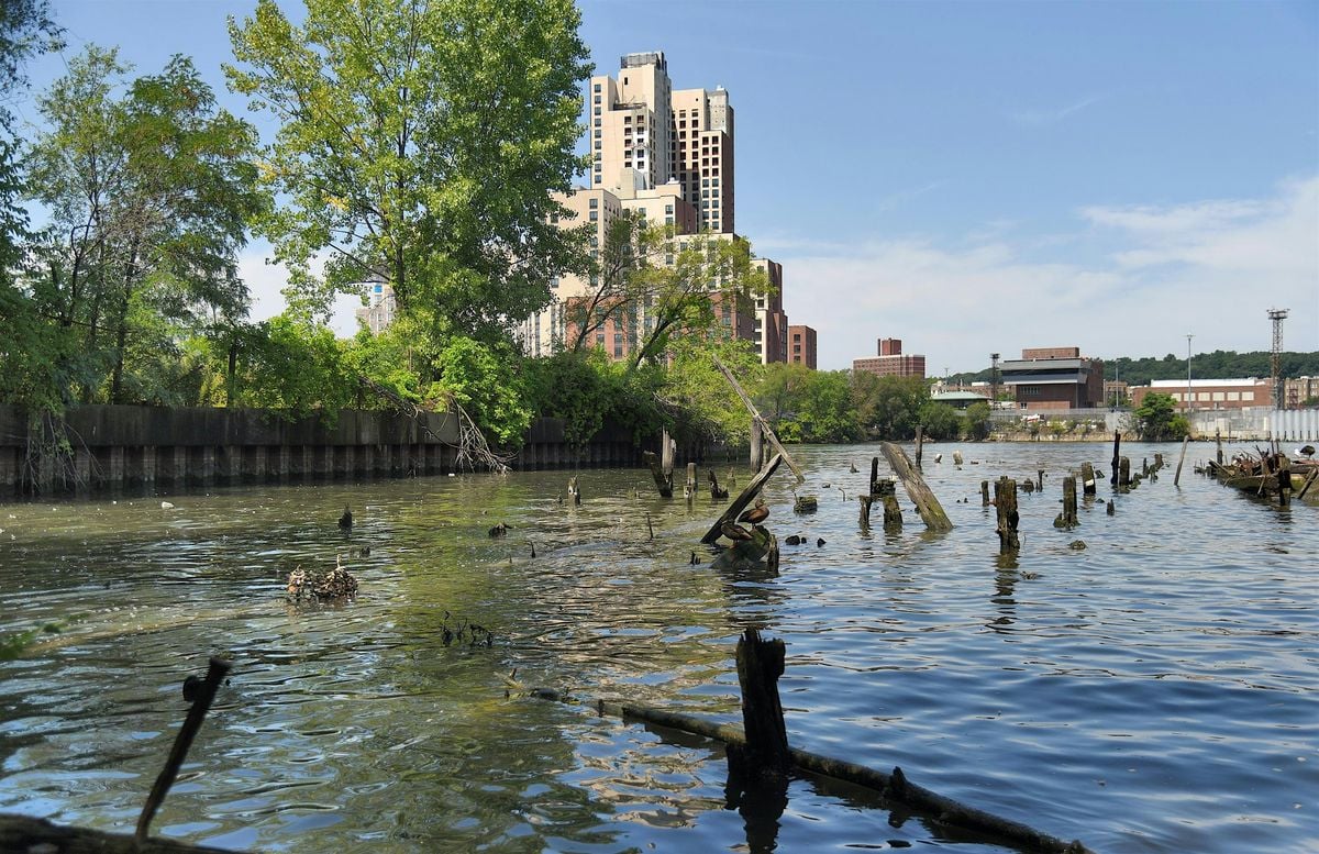 Fordham Landing Waterfront Walk, 24 August | Event in The Bronx | AllEvents