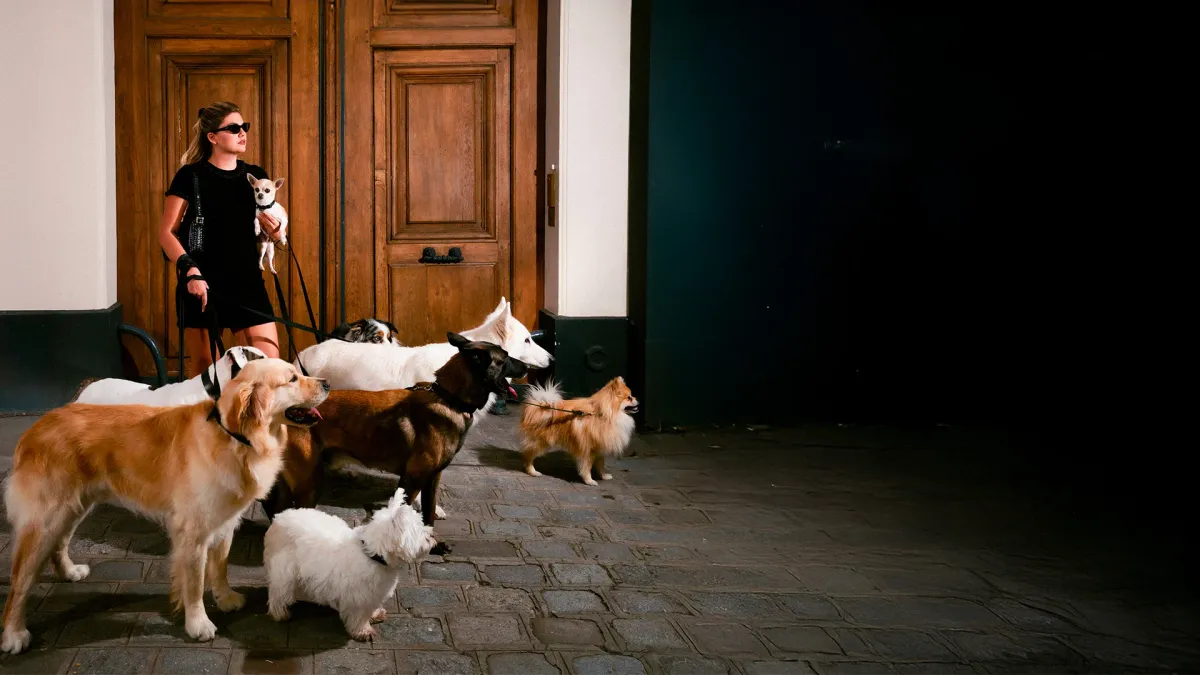 Aya Nakamura + Louane + Helena + Marguerite in, 13 July | Event in Vendome | AllEvents