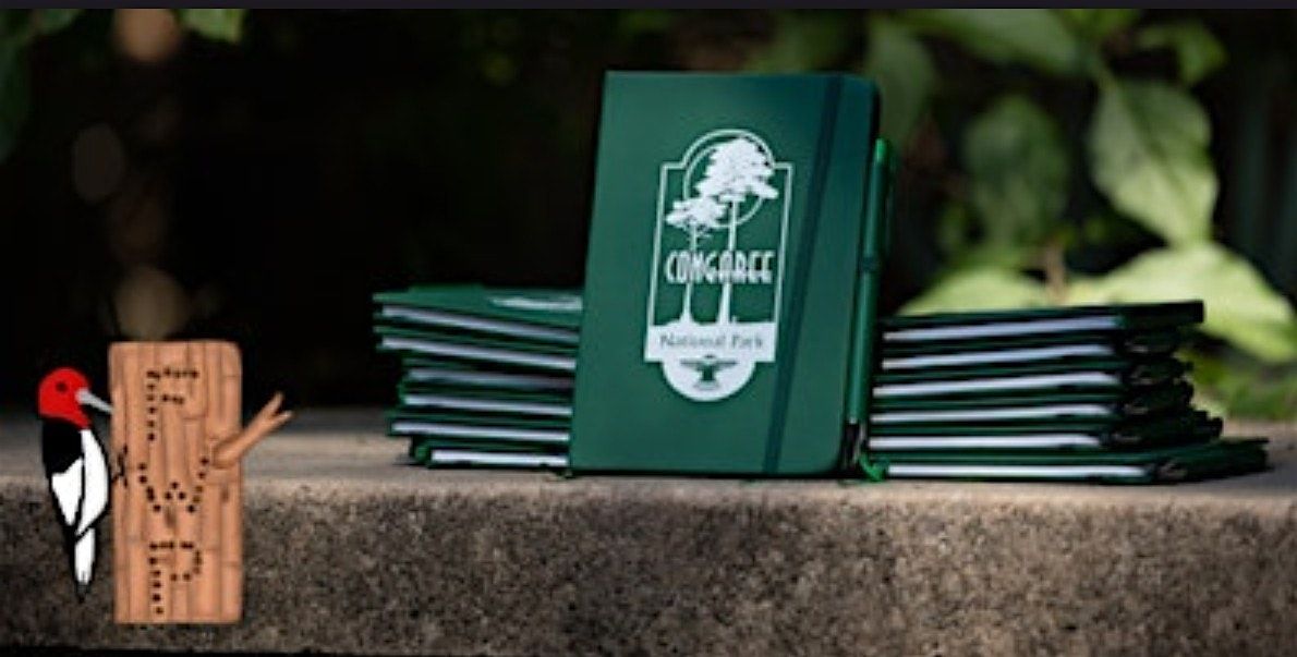 Spring Forest Wellness Journaling, 31 May | Event in Hopkins | AllEvents