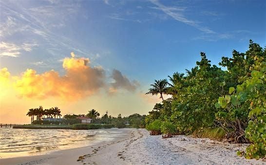 Pathways of the Past: Indigenous History Walk, 6 August | Event in Jensen Beach | AllEvents