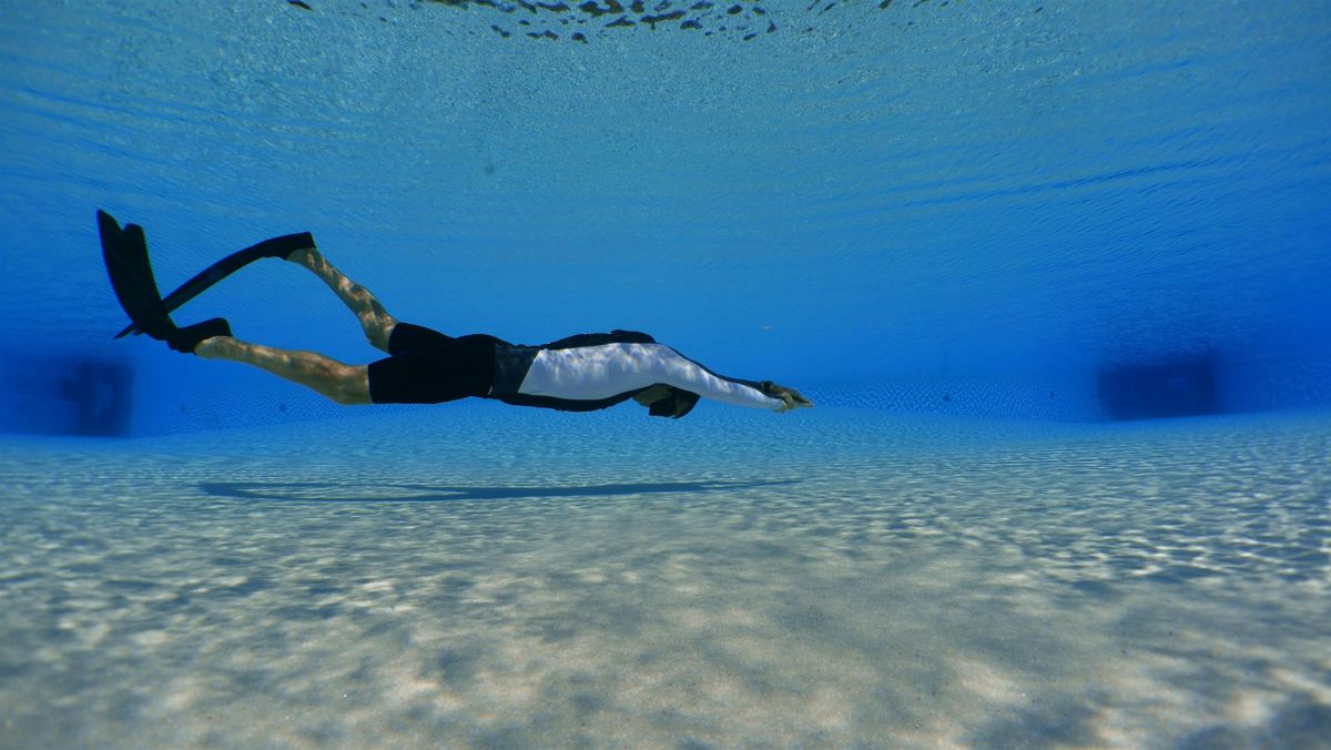 PADI Basic Freediver & GoPro PADI Distinctive Specialty, 3 December | Event in Otopeni | AllEvents