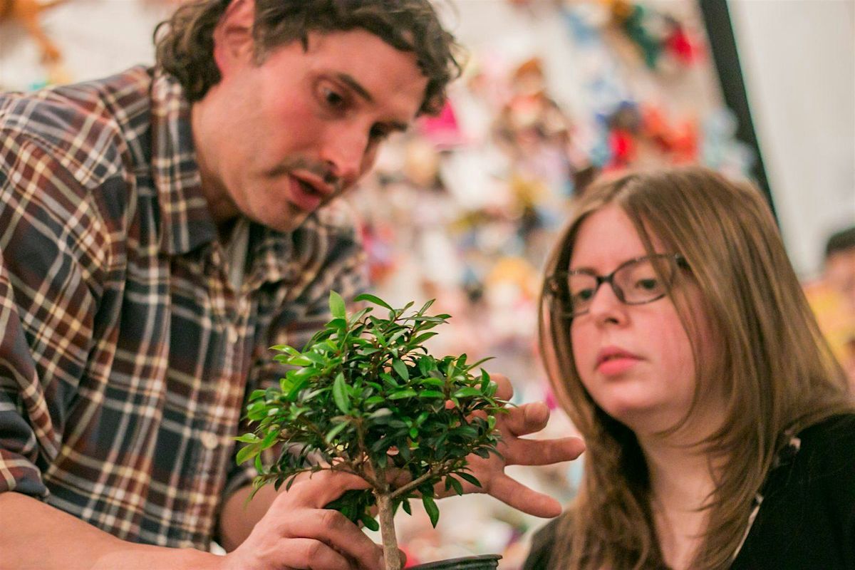 Bonsai Class, 17 August | Event in New York | AllEvents