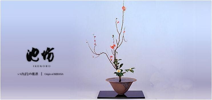 Invitation to Ikenobo Ikebana - Continuing Classes in Boulder CO (Dec), 4 December | Event in Boulder | AllEvents
