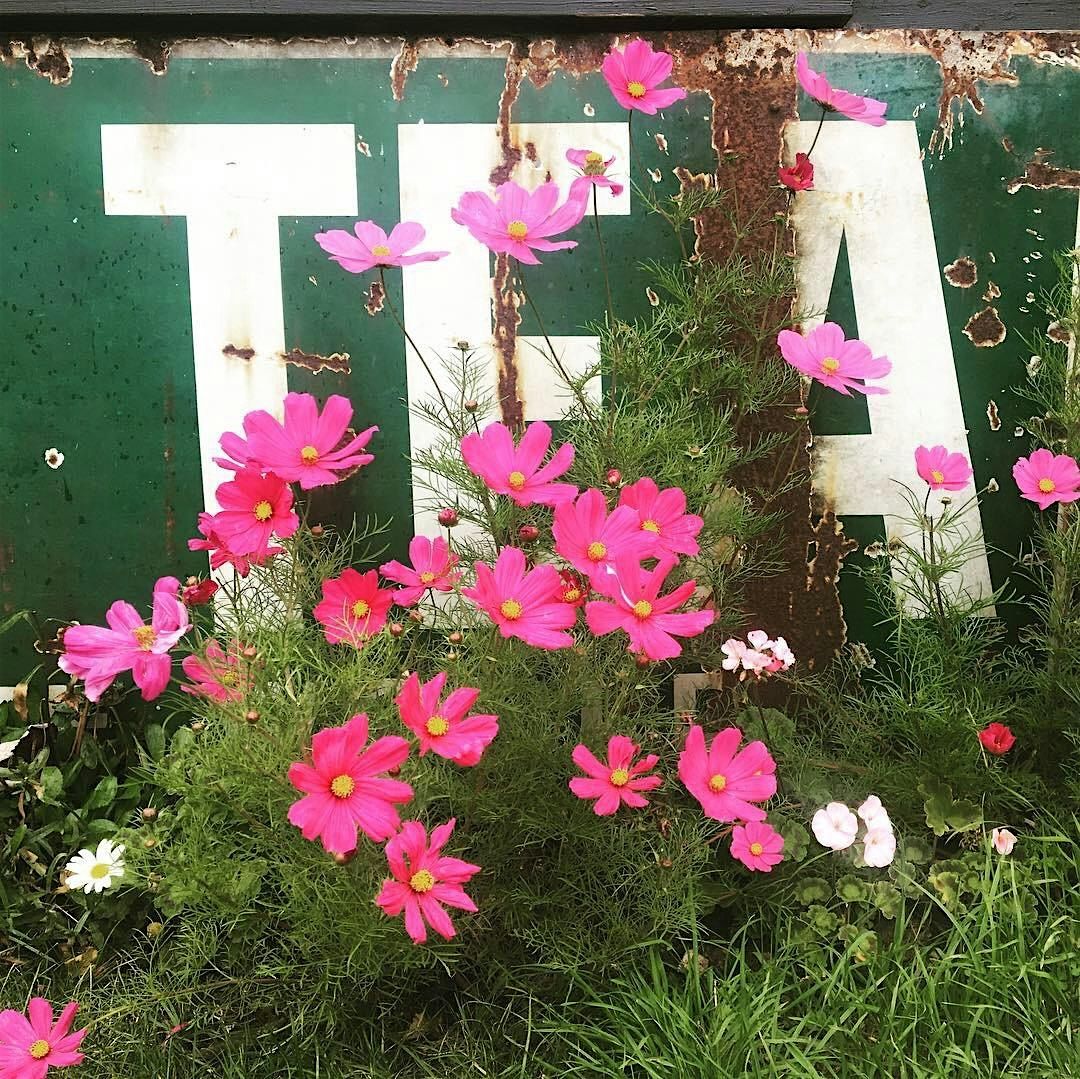 Tea Blending Workshop, 29 November | Event in North Bend | AllEvents