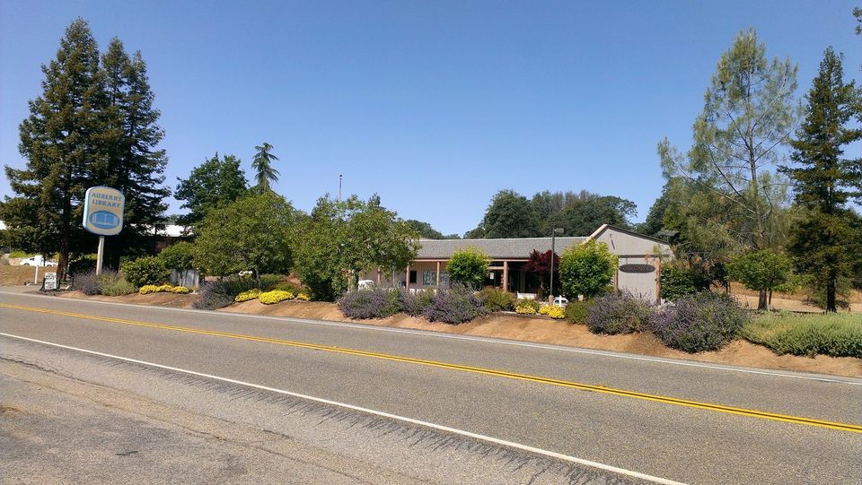 Friends of the Auberry Library Holiday Bake Sale, Auberry Branch