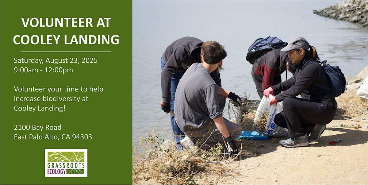 Volunteer Outdoors in East Palo Alto at Cooley Landing, 23 August | Event in East Palo Alto | AllEvents
