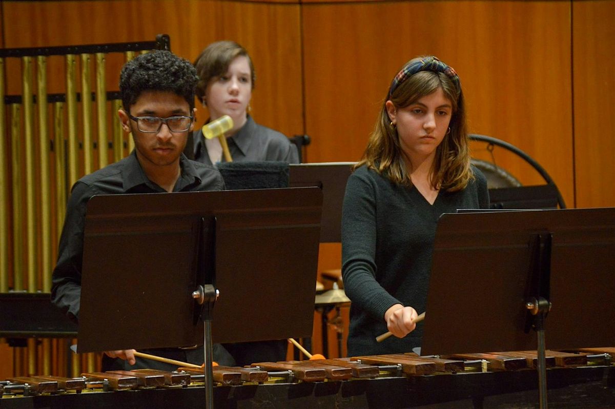ESYO Youth, Chamber, Repertory & Concertino Percussion, 18 May | Event in Delmar | AllEvents