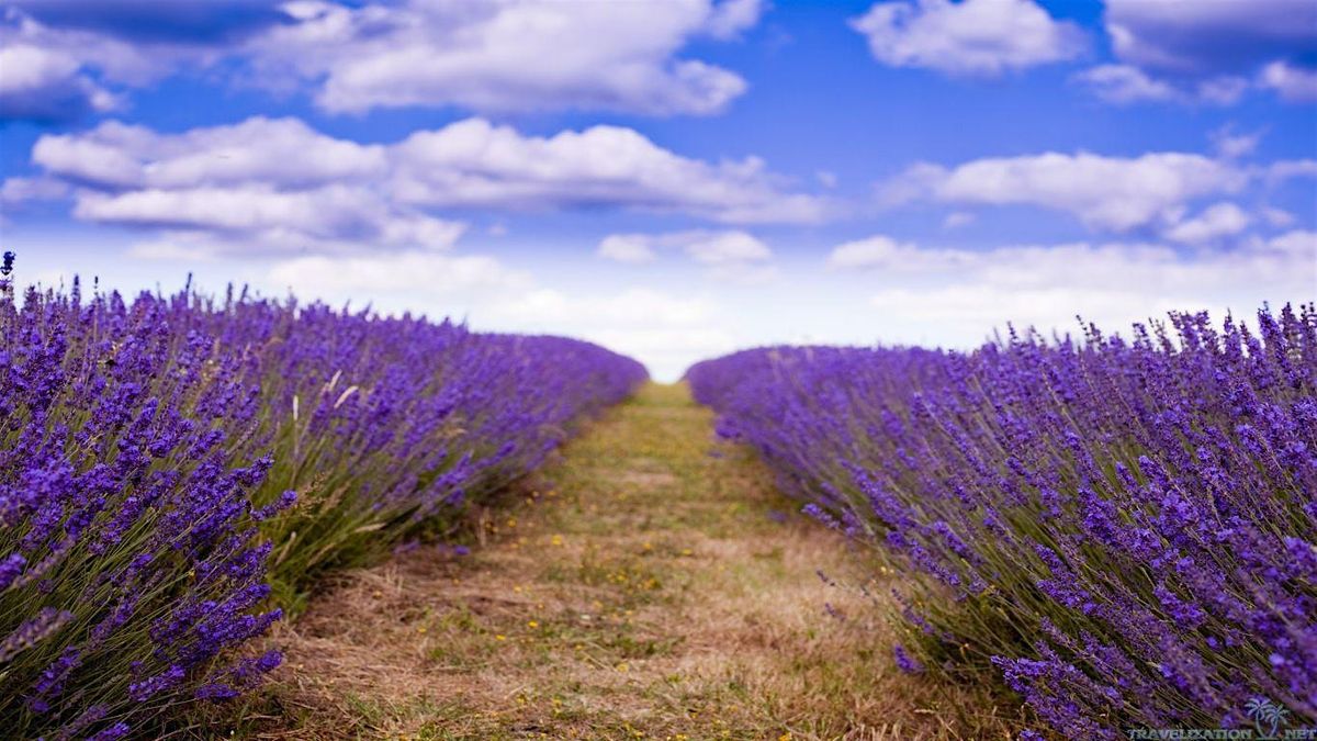 Self-Care as a Leadership Imperative: Leading from a Place of Wholeness, 13 November | Event in Blue Ash | AllEvents