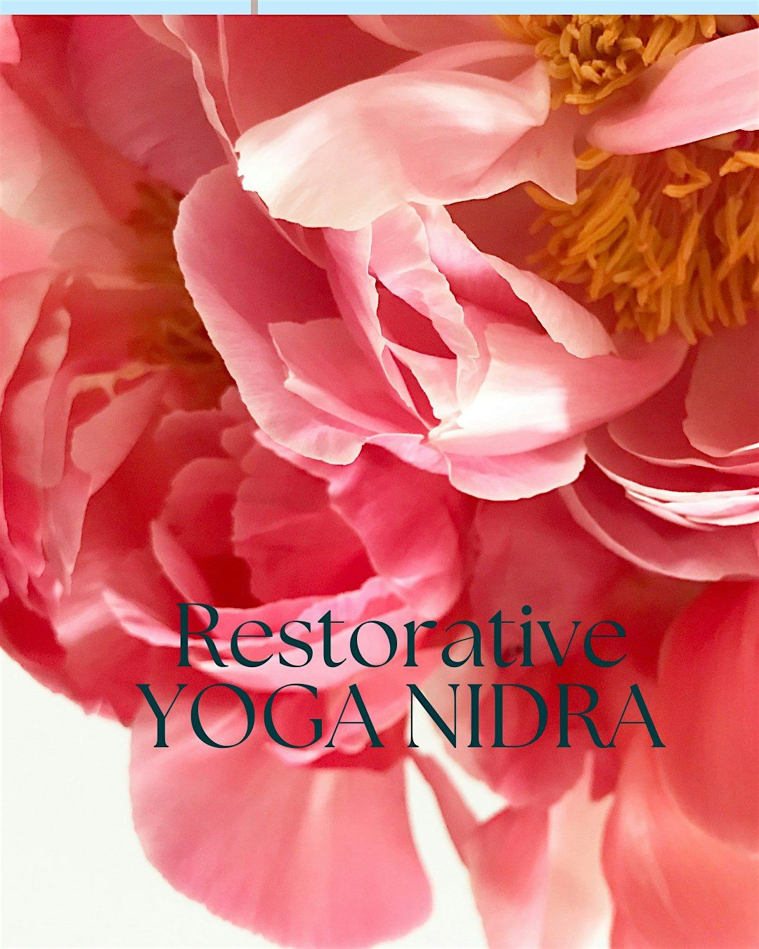 Deep Rest & Renewal: Restorative Yoga Nidra with Linda Herrmann, 9 November | Event in Yellow Springs