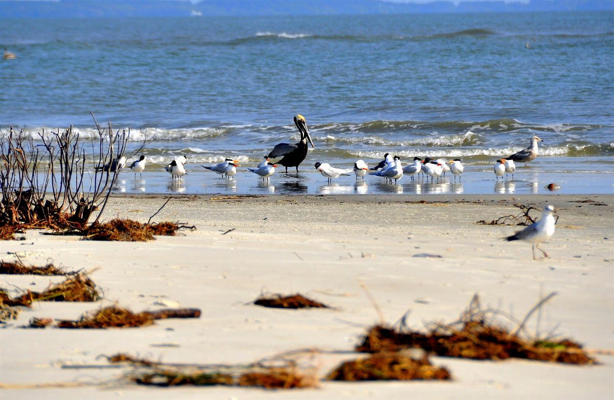 Communing & Kinning: A Gathering of the MBMS Community In-Person!, 27 July | Event in Carmel-by-the-Sea