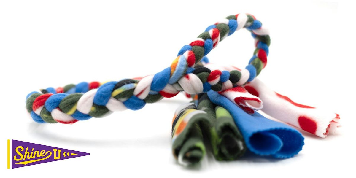 SHINE U: Maker’s Edition – Make Your Own Pet Toys!, 24 June | Event in Grapevine | AllEvents