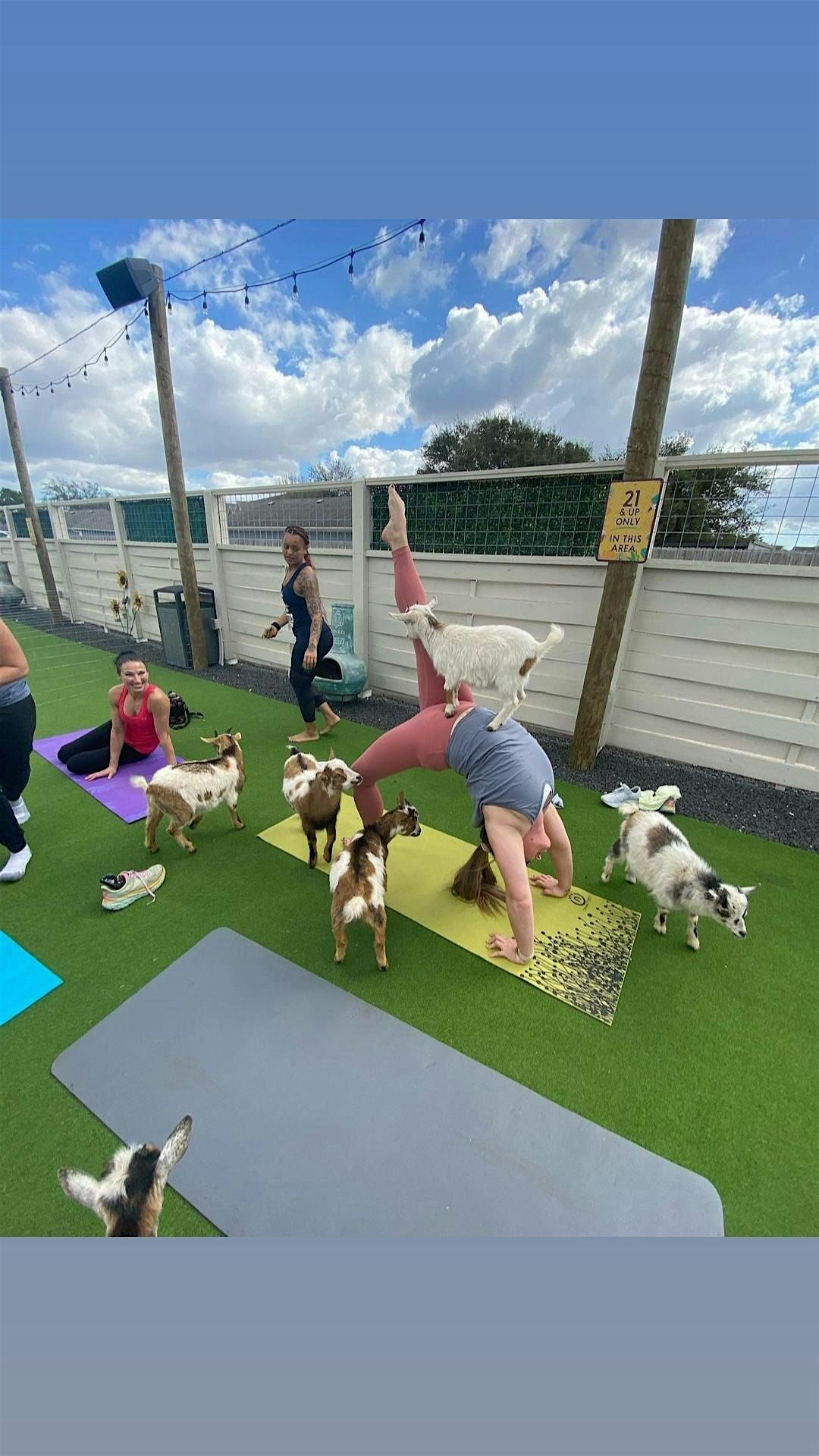 Goat Yoga Houston At THE BALLPARK in League City11AM class, 7 July | Event in League City | AllEvents