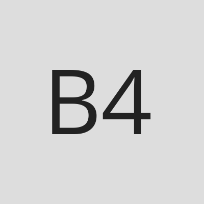 Bodacious of Block 42 logo