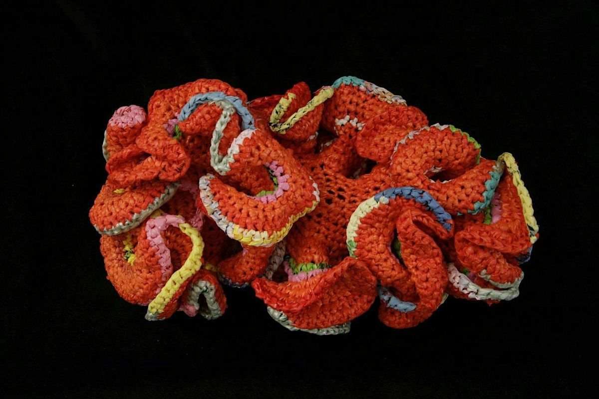 Crochet Coral Club, 18 May | Event in Oak Park | AllEvents