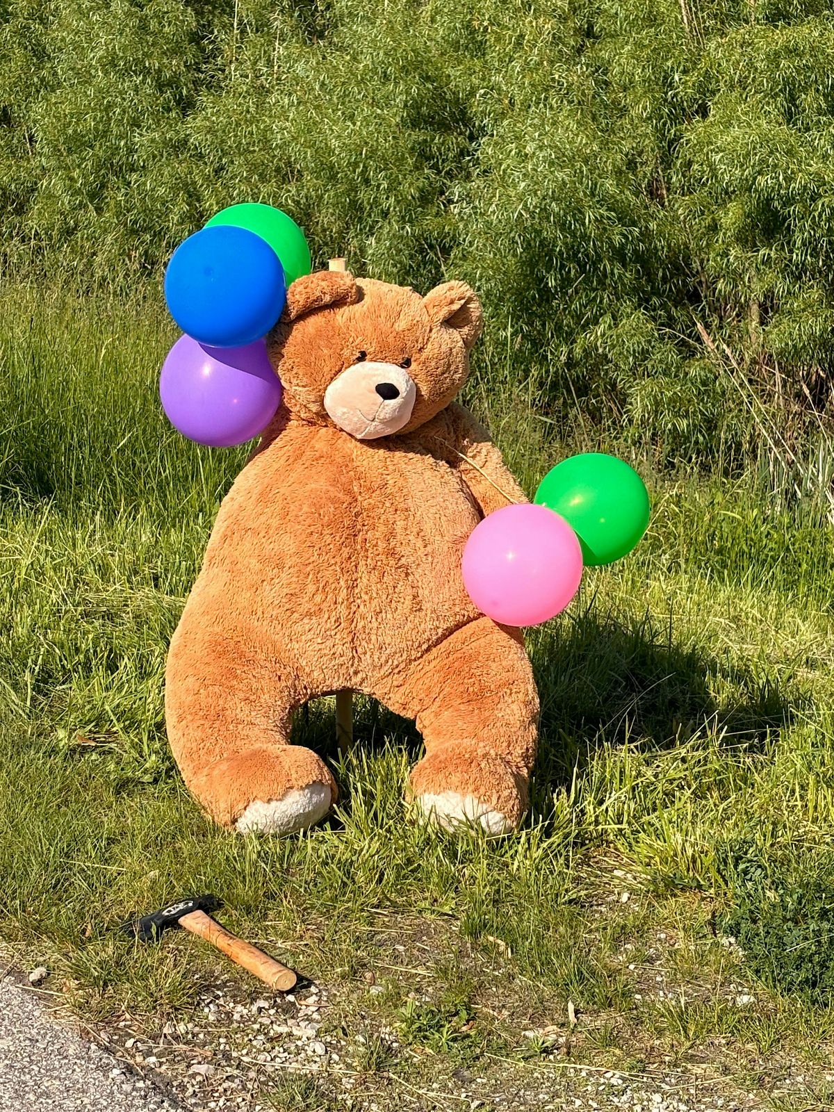 Teddy Bear Hunt - Session 2, 1 June | Event in De Pere | AllEvents