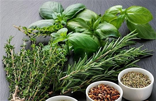 Explore the World of Herbs: Tasting, Pairing, Infusing, 28 September | Event in Cincinnati | AllEvents