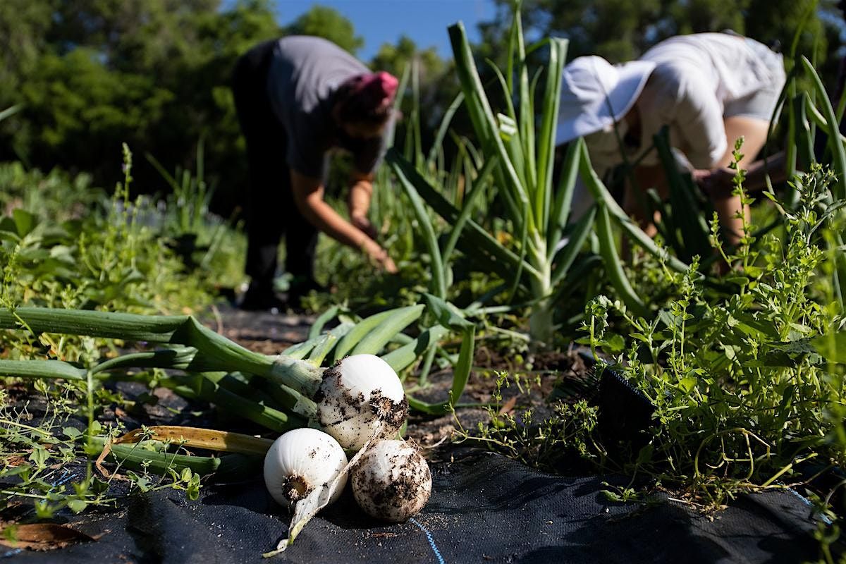 Updates on Organic Vegetable Production Field Day, 25 September | Event in Citra | AllEvents