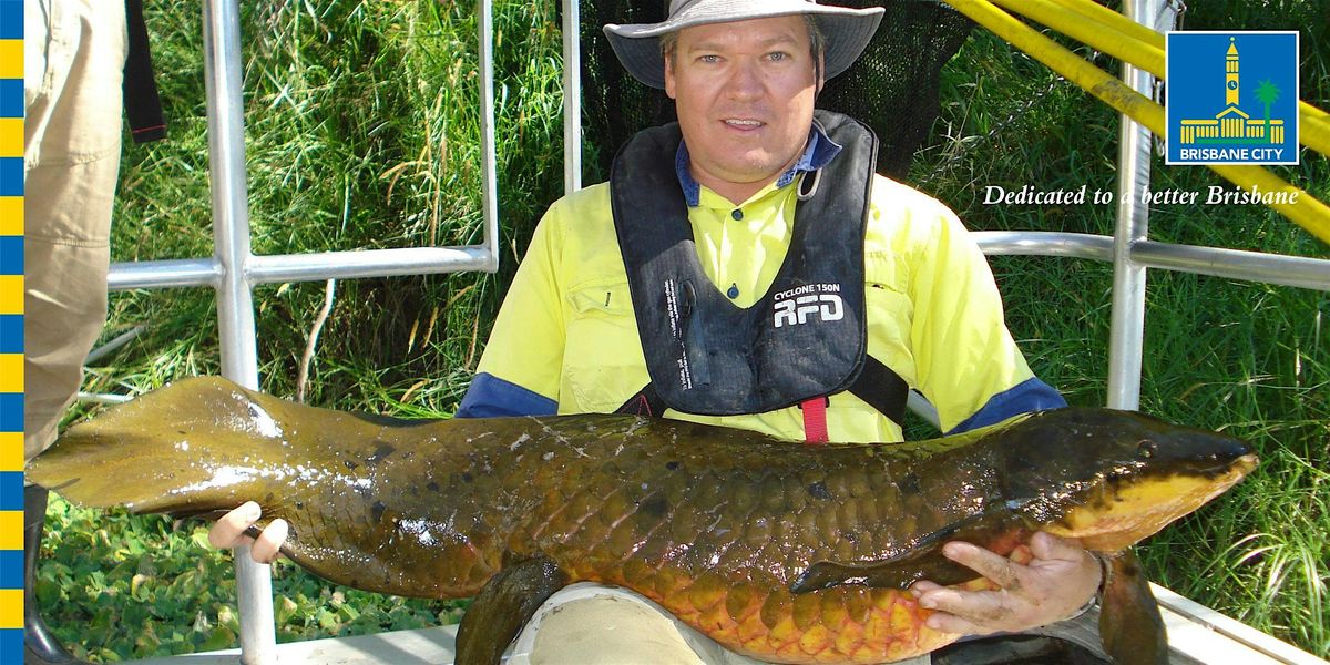 Macrophyte restoration, 25 November | Event in Kenmore | AllEvents