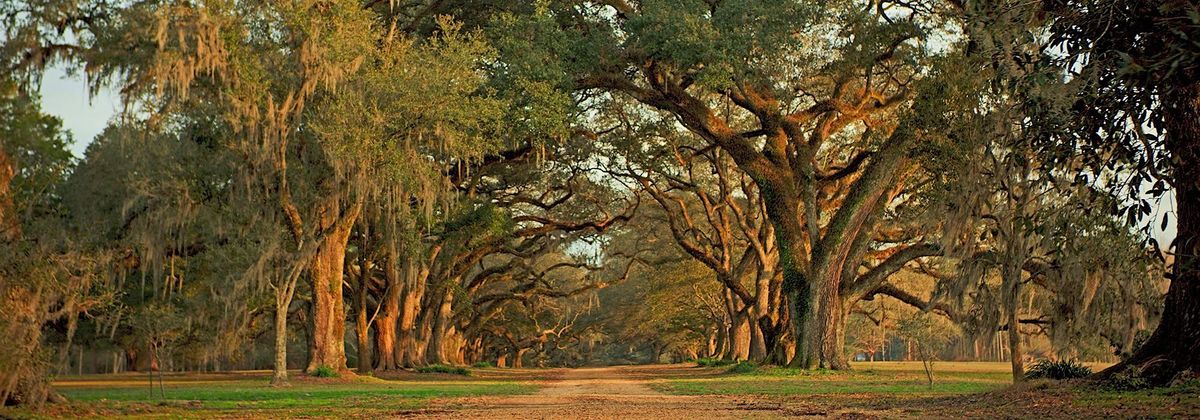 Revealing Lost Histories in Southeast Louisiana, 9 October | Event in Saint Francisville | AllEvents
